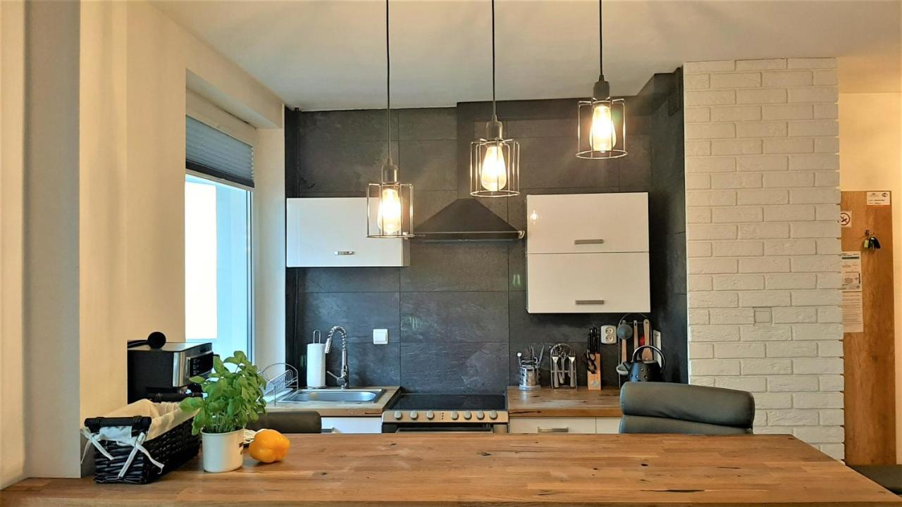Studio Mila I Nido W Centrum Apartzakop Закопане Екстер'єр фото