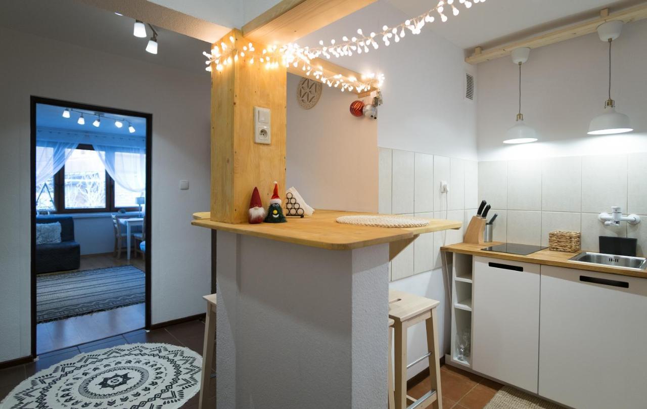 Studio Mila I Nido W Centrum Apartzakop Закопане Екстер'єр фото