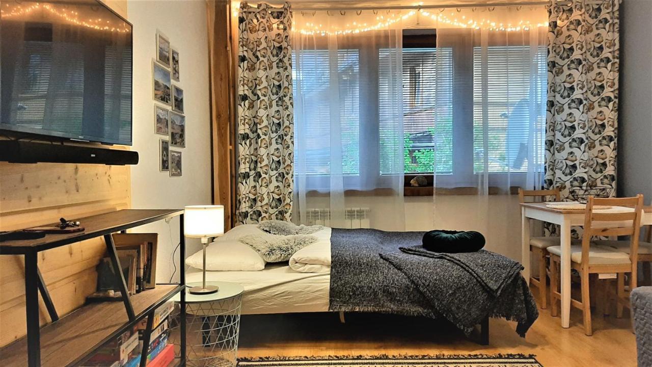 Studio Mila I Nido W Centrum Apartzakop Закопане Екстер'єр фото