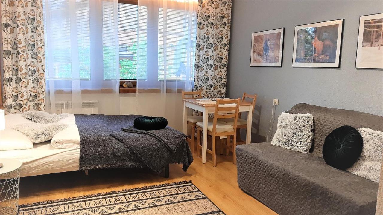 Studio Mila I Nido W Centrum Apartzakop Закопане Екстер'єр фото