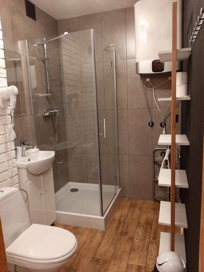 Studio Mila I Nido W Centrum Apartzakop Закопане Екстер'єр фото